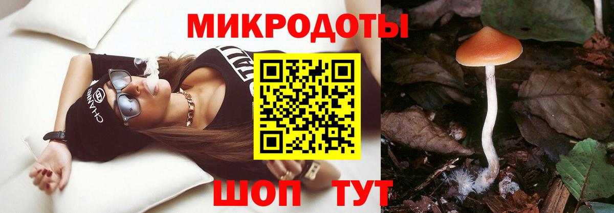 Псилоцибиновые грибы GOLDEN TEACHER  Вход с VPN  Котлас 